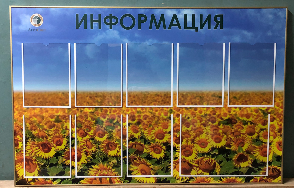 стенд-информация-с-карманами-А4-в-Воронеже